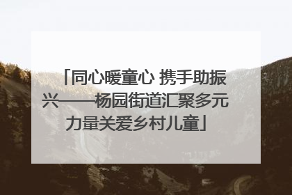同心暖童心 携手助振兴——杨园街道汇聚多元力量关爱乡村儿童