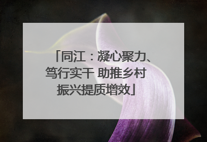 同江：凝心聚力、笃行实干 助推乡村振兴提质增效