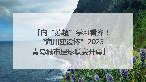 向“苏超”学习看齐！“海川建设杯”2025青岛城市足球联赛开幕