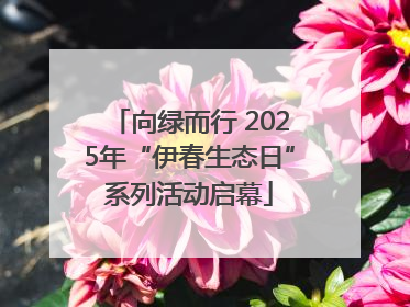 向绿而行 2025年“伊春生态日”系列活动启幕