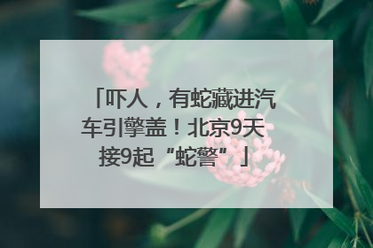 吓人，有蛇藏进汽车引擎盖！北京9天接9起“蛇警”