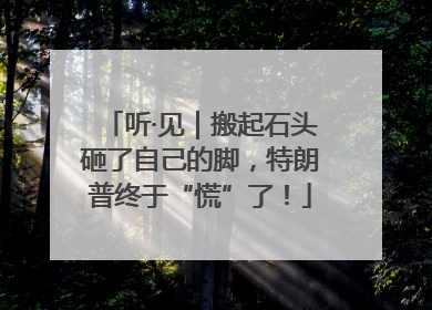听·见｜搬起石头砸了自己的脚，特朗普终于“慌”了！
