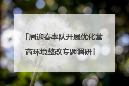 周迎春率队开展优化营商环境整改专题调研