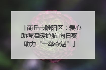 商丘市睢阳区：爱心助考温暖护航 向日葵助力“一举夺魁”