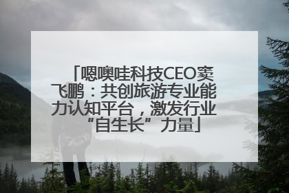 嗯噢哇科技CEO窦飞鹏：共创旅游专业能力认知平台，激发行业“自生长”力量