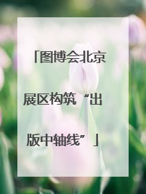 图博会北京展区构筑“出版中轴线”