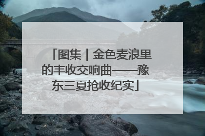图集｜金色麦浪里的丰收交响曲——豫东三夏抢收纪实