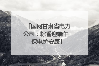 国网甘肃省电力公司：粽香迎端午 保电护安康