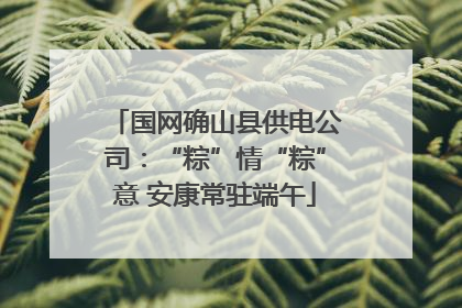 国网确山县供电公司：“粽”情“粽”意 安康常驻端午