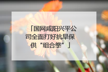 国网咸阳兴平公司全面打好抗旱保供“组合拳”