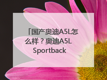 国产奥迪A5L怎么样？奥迪A5L Sportback以科技重塑豪华运动轿车市场格局