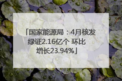 国家能源局：4月核发绿证2.16亿个 环比增长23.94%