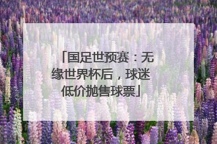 国足世预赛：无缘世界杯后，球迷低价抛售球票