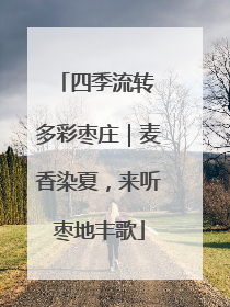 四季流转 多彩枣庄｜麦香染夏，来听枣地丰歌