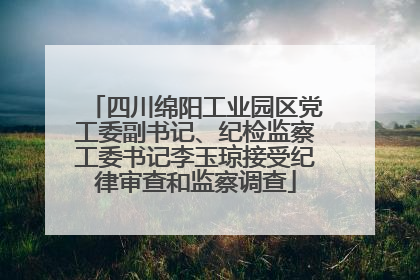四川绵阳工业园区党工委副书记、纪检监察工委书记李玉琼接受纪律审查和监察调查