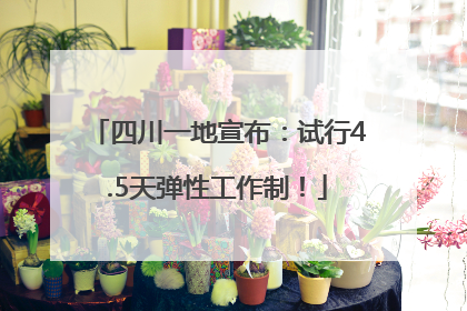 四川一地宣布：试行4.5天弹性工作制！