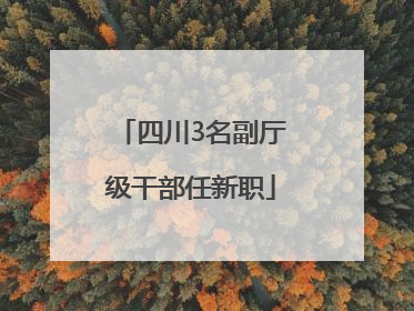 四川3名副厅级干部任新职