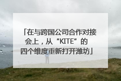在与跨国公司合作对接会上，从“KITE”的四个维度重新打开潍坊