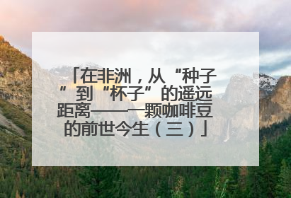 在非洲，从“种子”到“杯子”的遥远距离——一颗咖啡豆的前世今生（三）