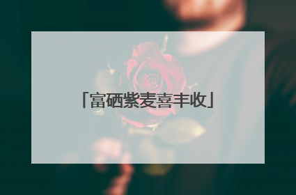富硒紫麦喜丰收