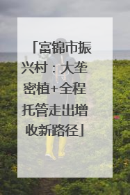 富锦市振兴村：大垄密植+全程托管走出增收新路径