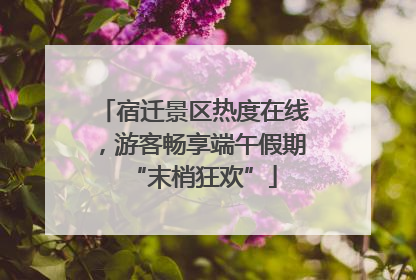 宿迁景区热度在线，游客畅享端午假期“末梢狂欢”