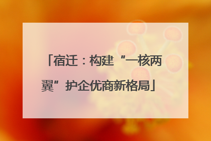 宿迁：构建“一核两翼”护企优商新格局