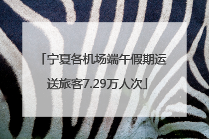 宁夏各机场端午假期运送旅客7.29万人次
