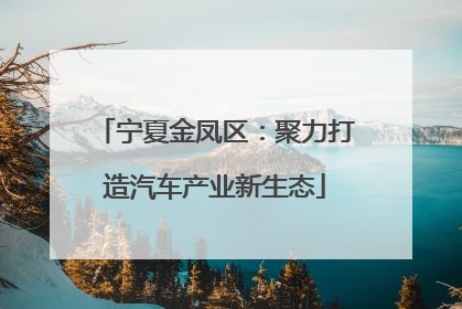 宁夏金凤区：聚力打造汽车产业新生态