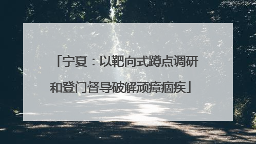宁夏：以靶向式蹲点调研和登门督导破解顽瘴痼疾