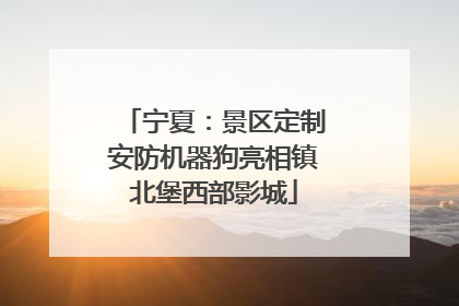 宁夏：景区定制安防机器狗亮相镇北堡西部影城