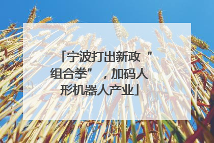 宁波打出新政“组合拳”，加码人形机器人产业