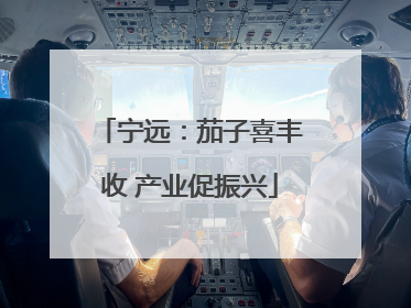 宁远：茄子喜丰收 产业促振兴