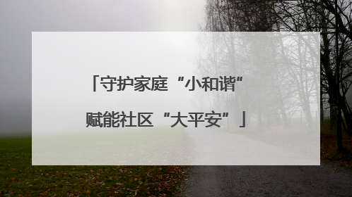 守护家庭“小和谐” 赋能社区“大平安”