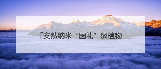 安然纳米“国礼”级植物干细胞技术，助力“一带一路”共建可持续未来