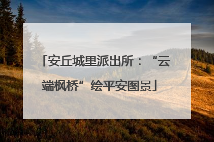 安丘城里派出所：“云端枫桥”绘平安图景