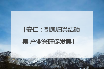 安仁：引凤归巢结硕果 产业兴旺促发展