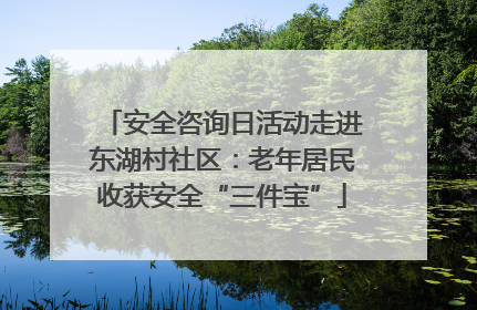 安全咨询日活动走进东湖村社区：老年居民收获安全“三件宝”