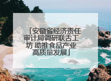 安徽省经济责任审计局调研联舌工坊 助推食品产业高质量发展