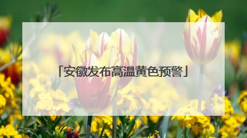 安徽发布高温黄色预警