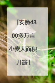 安徽4300多万亩小麦大面积开镰