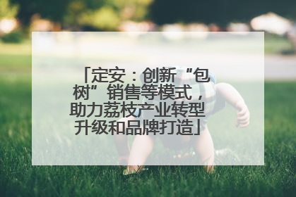 定安：创新“包树”销售等模式，助力荔枝产业转型升级和品牌打造