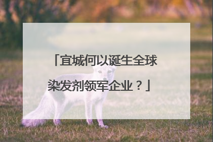 宜城何以诞生全球染发剂领军企业？