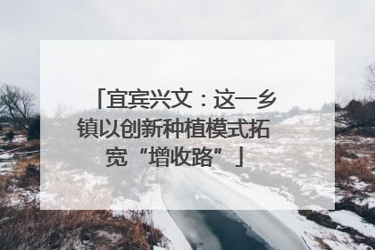 宜宾兴文：这一乡镇以创新种植模式拓宽“增收路”
