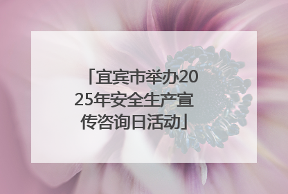宜宾市举办2025年安全生产宣传咨询日活动