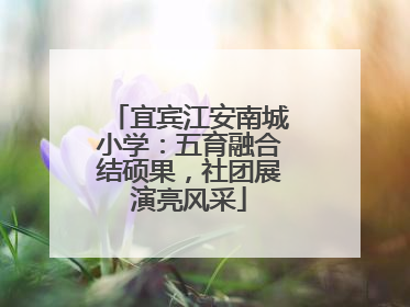 宜宾江安南城小学：五育融合结硕果，社团展演亮风采