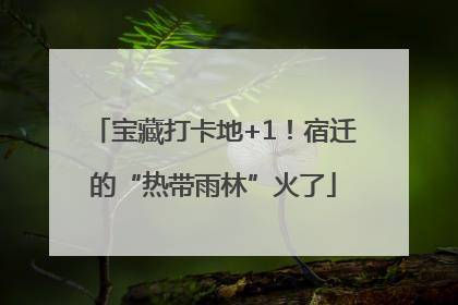 宝藏打卡地+1！宿迁的“热带雨林”火了
