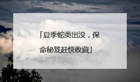 夏季蛇类出没，保命秘笈赶快收藏