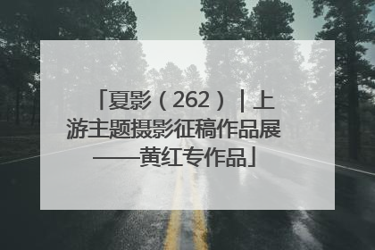 夏影（262）｜上游主题摄影征稿作品展——黄红专作品