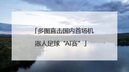 多图直击国内首场机器人足球“AI赛”